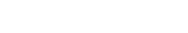 Blua logo 2
