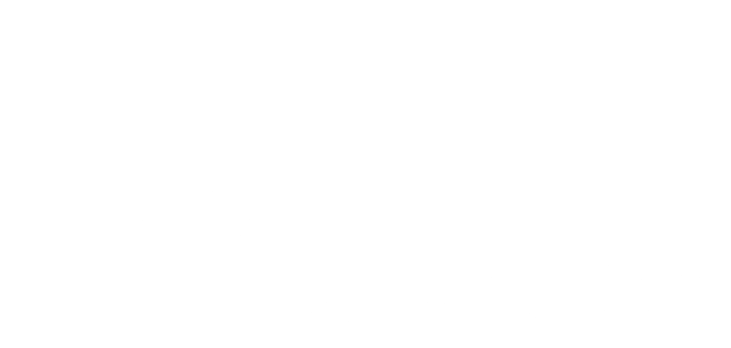 EY logo white