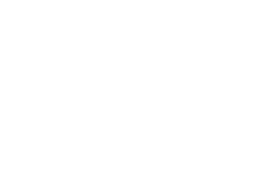 FT logo white