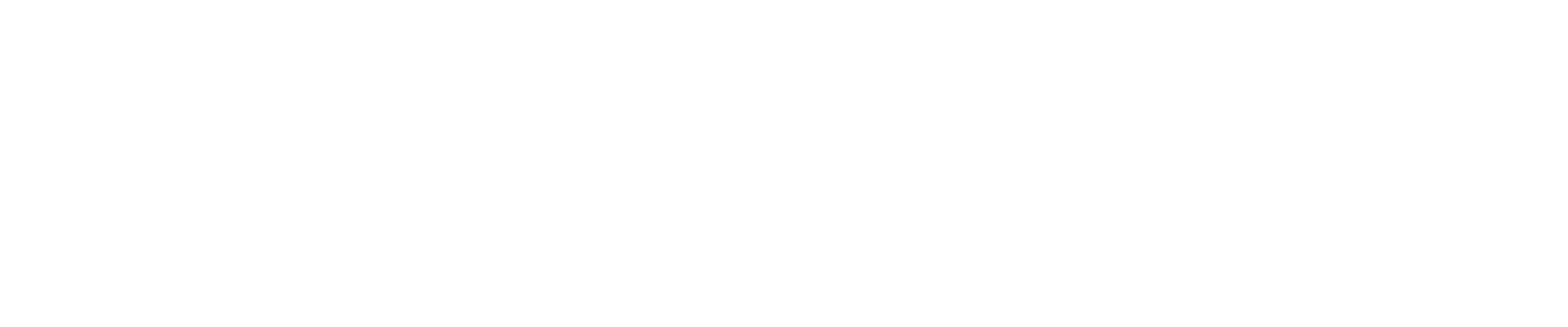 BCG logo white