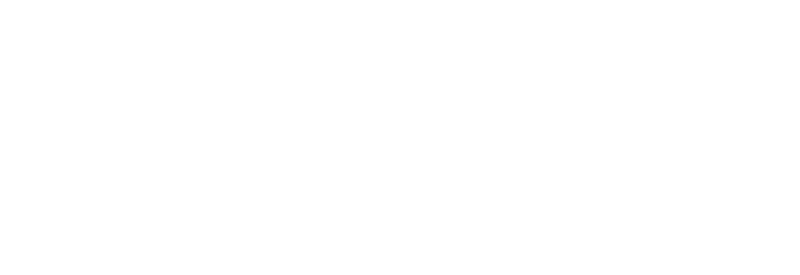 BI logo white