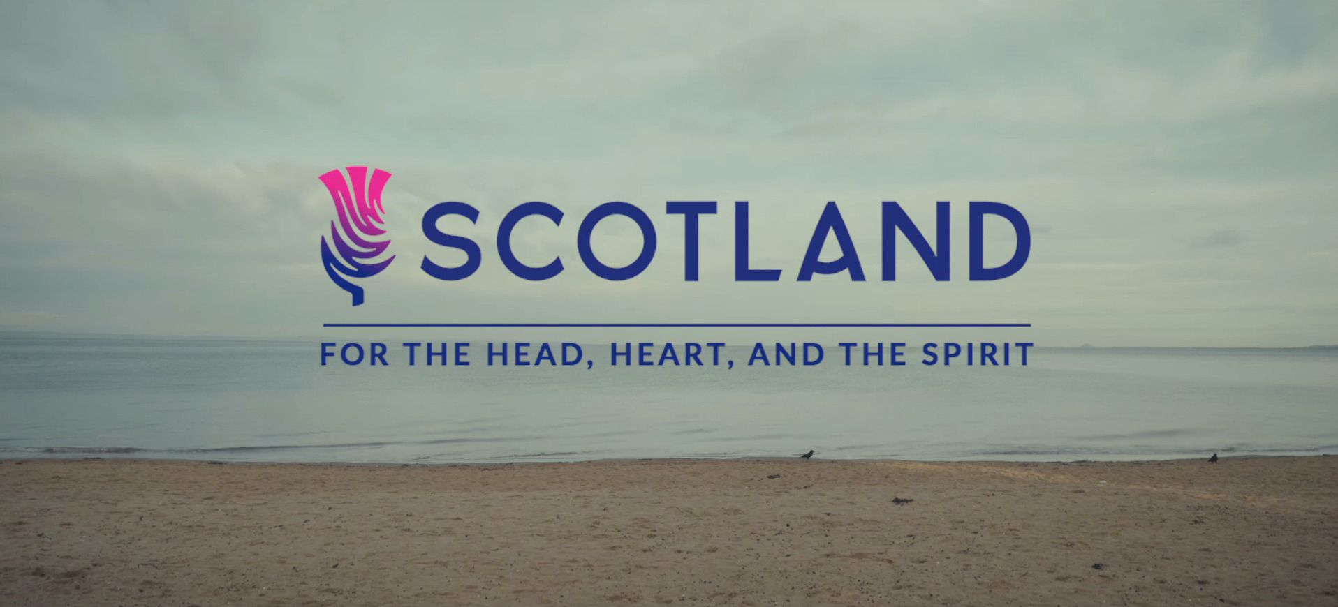 Brand Scot - 2025 hero