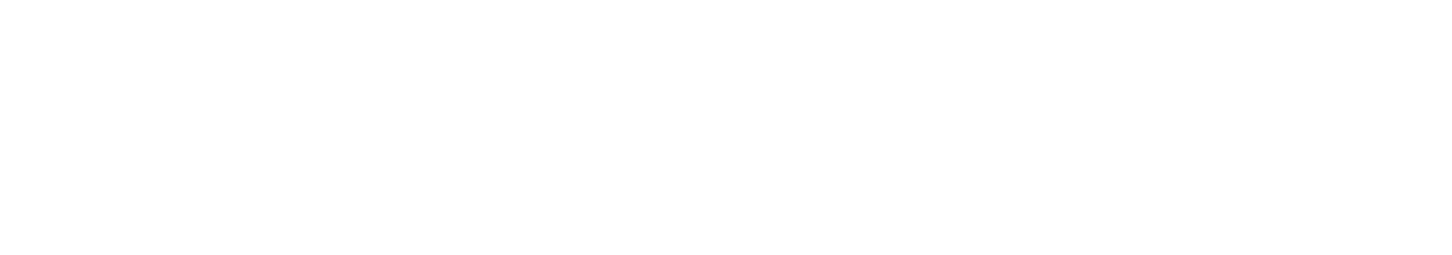 CNN IC logo white