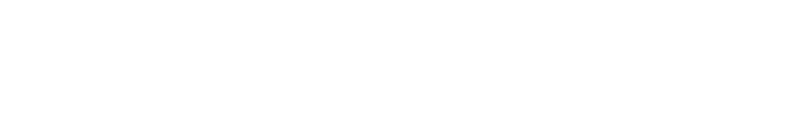 DIanomi logo white