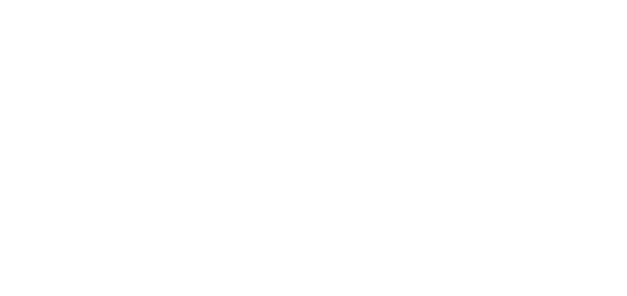 DP World logo white