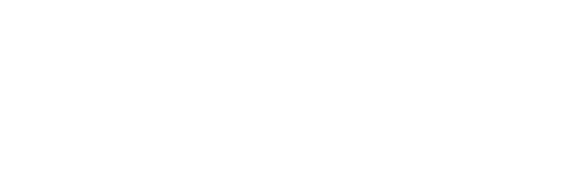 Georgia logo white