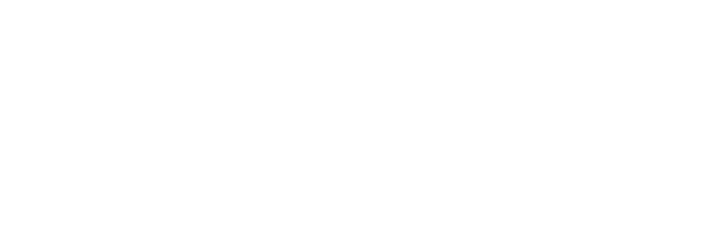 Google white logo