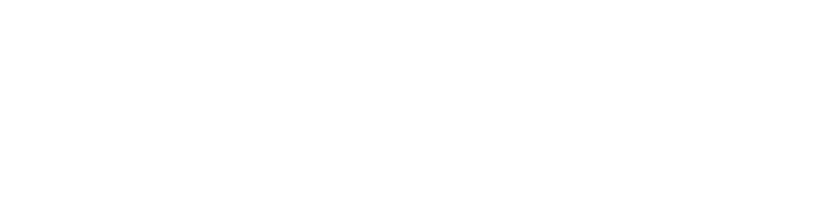 HandS logo white
