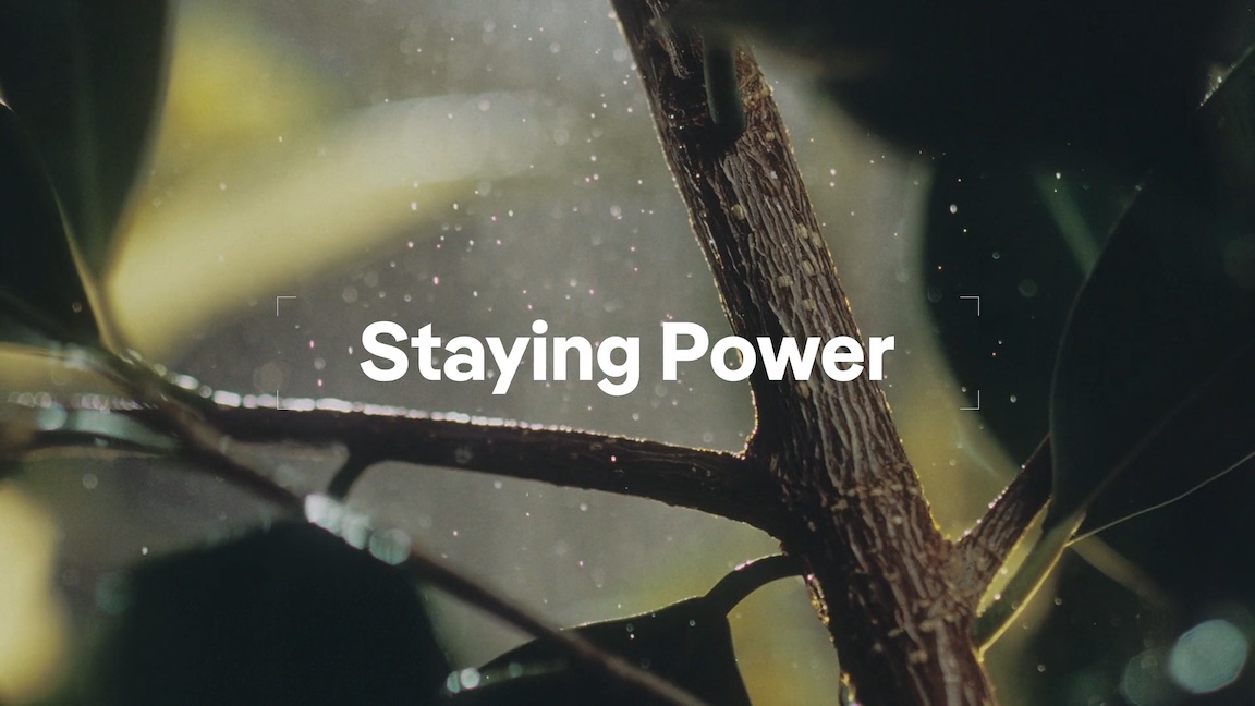 Iberdrola - Staying Power 8