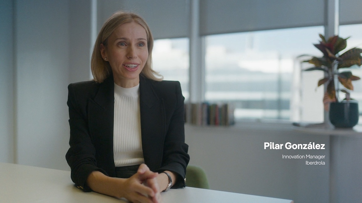 Iberdrola - Staying power 6