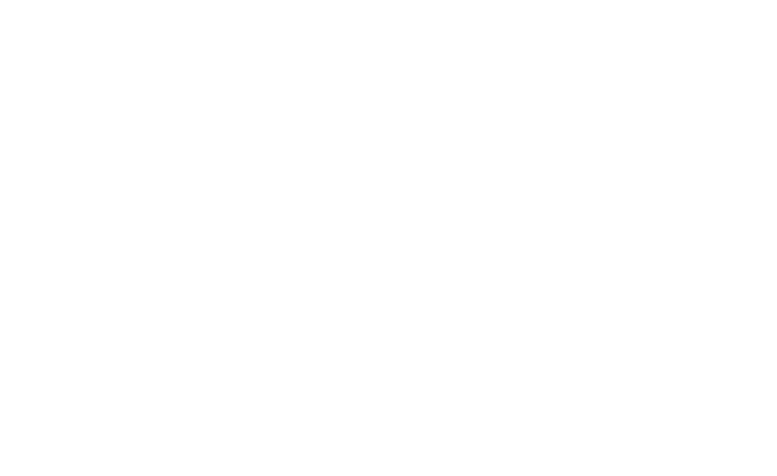 Mastercard logo white