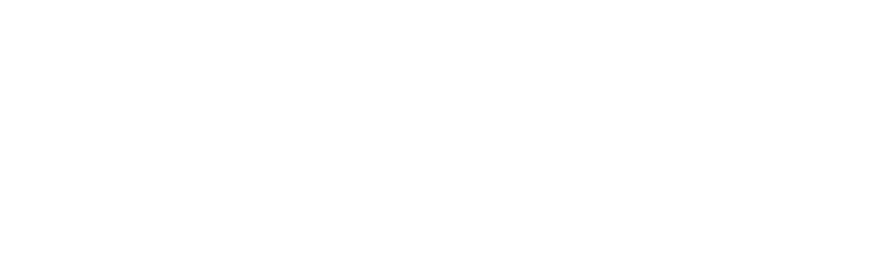 NDG logo white