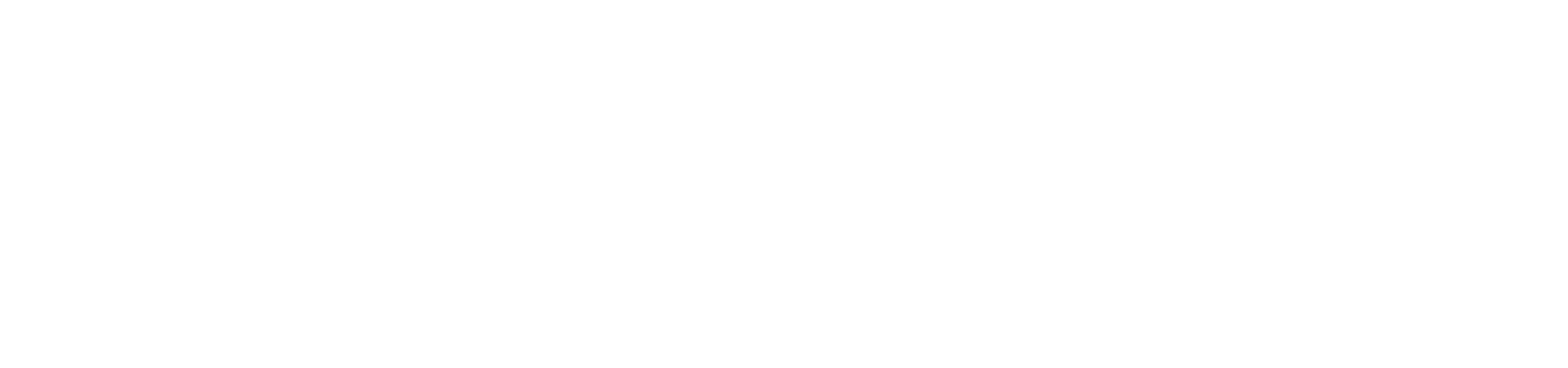 Nokia logo white