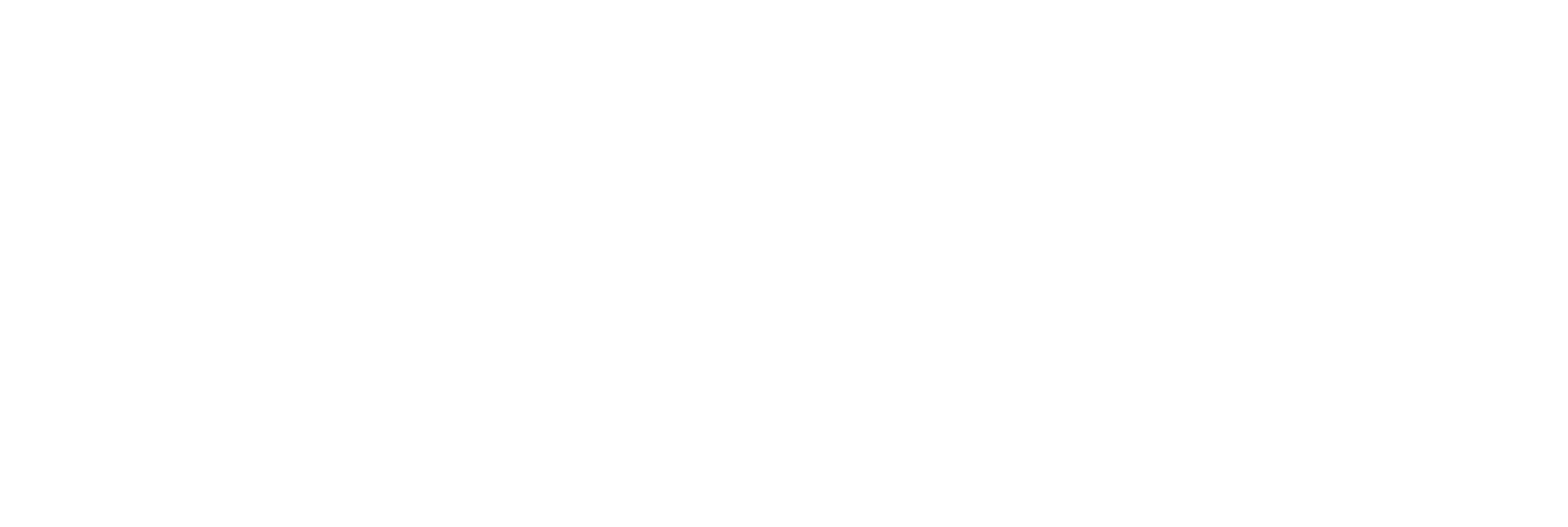 PP logo white