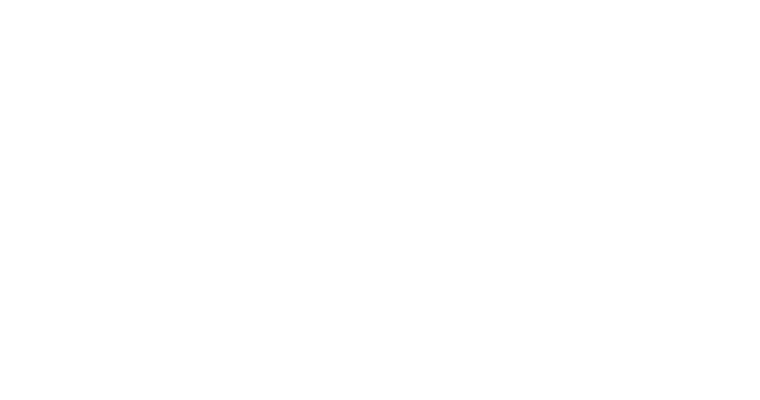 Seoul Tourism Organisation logo white