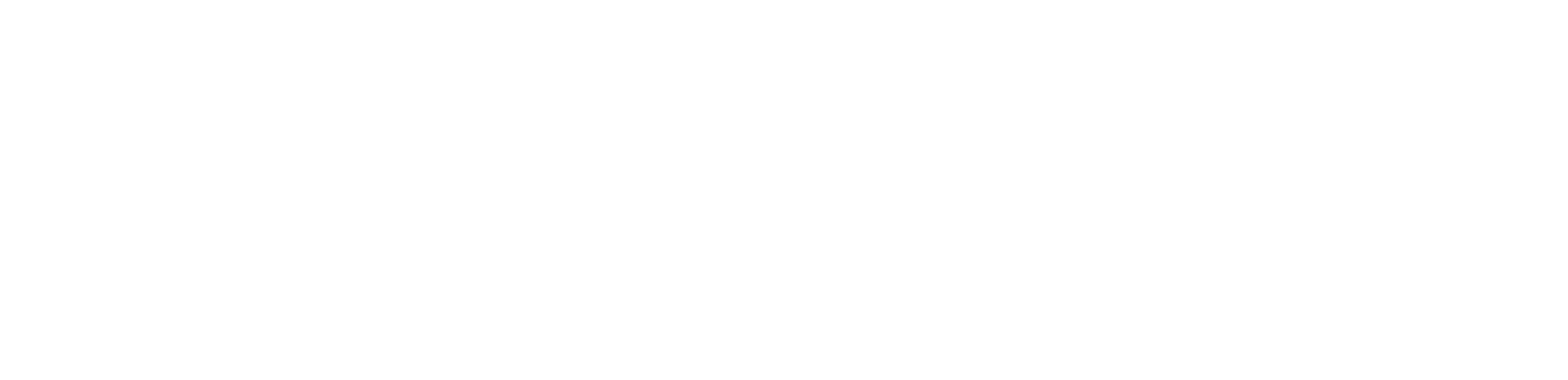 TT logo white