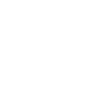 VW logo white