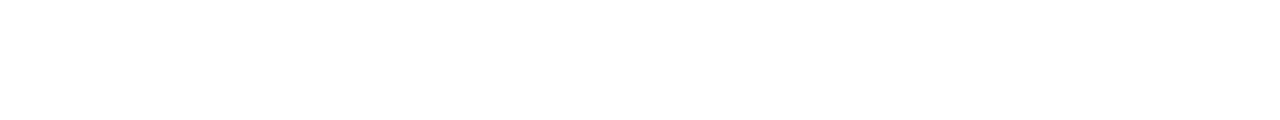 WSJ logo long white