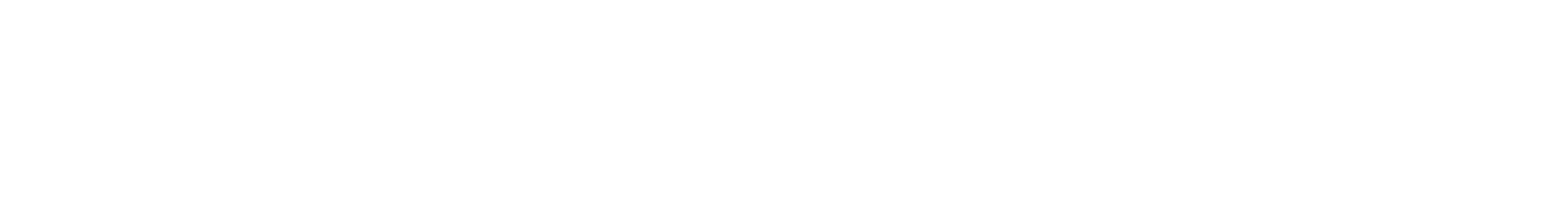 Wavemaker logo white