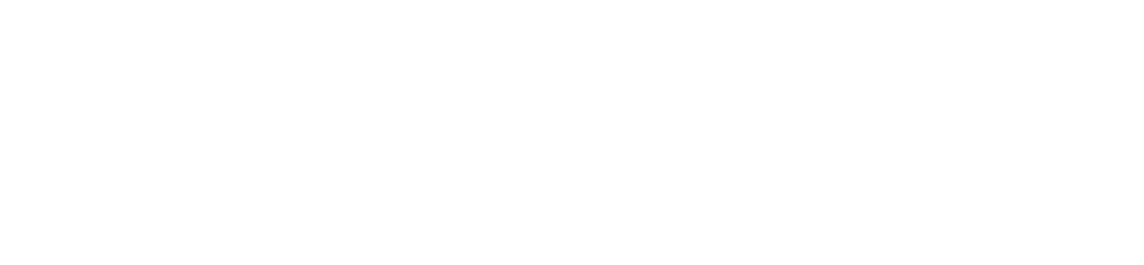 Weber Shandwick logow hite