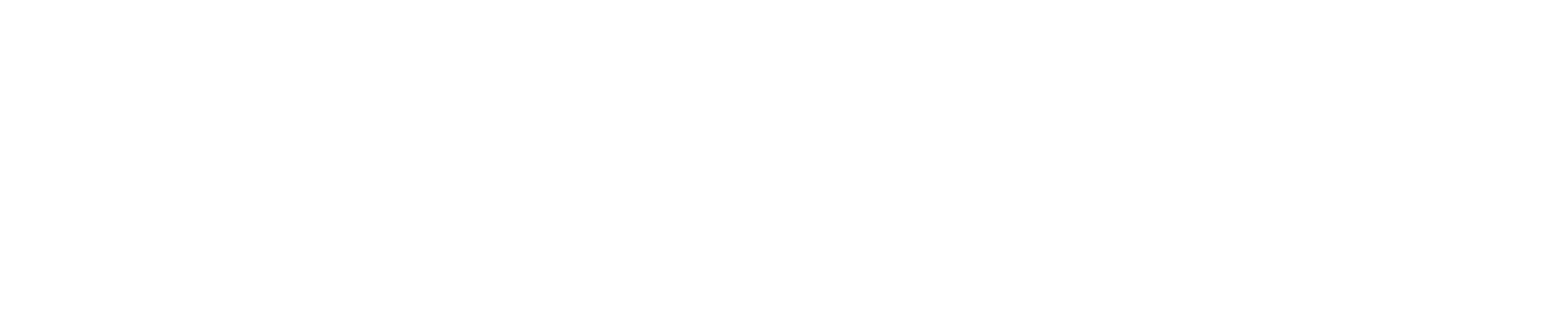 Zscaler logo white