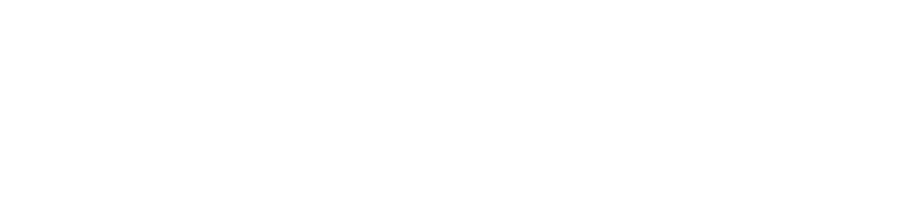 Zurich logo long white