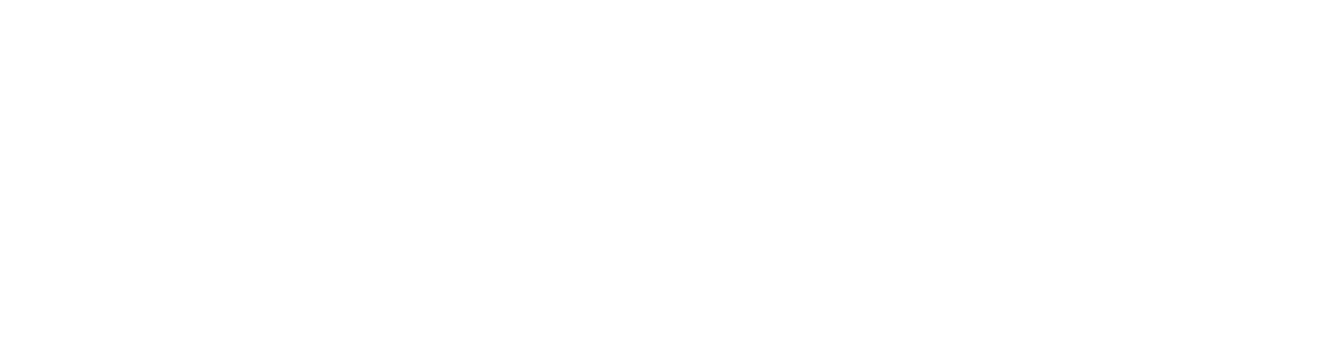 accenture logo white