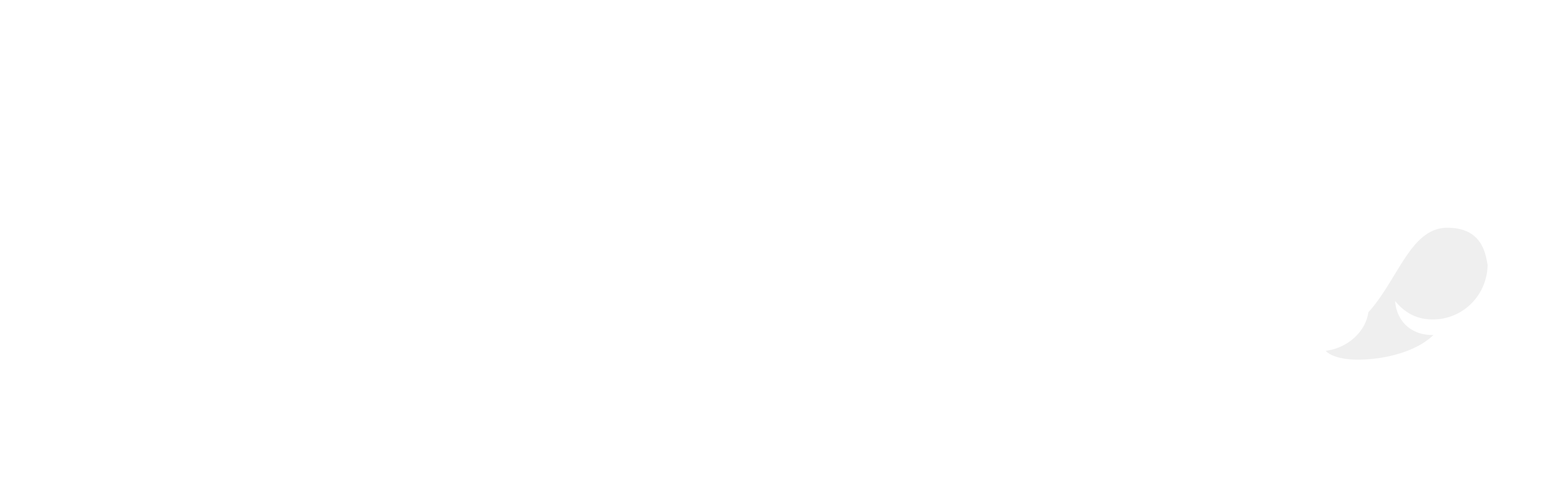 capgemini logo white