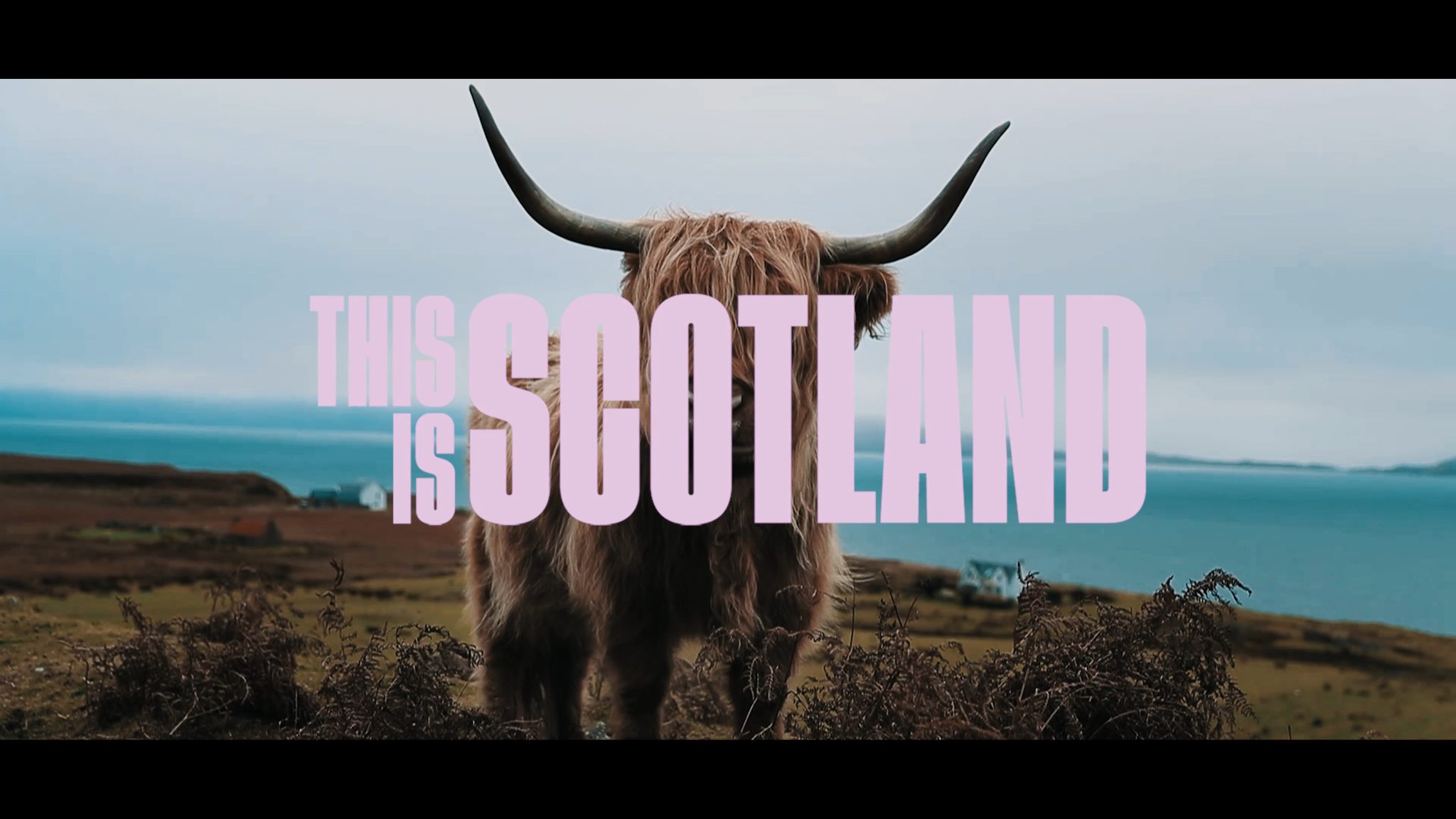 Scotland 2023 4